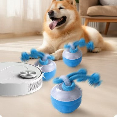 Joyful Pup Roller